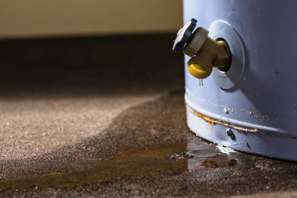 Professional Water damage restoration in MT