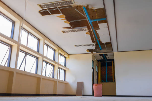 Best Flood damage cleanup  in Butte, MT