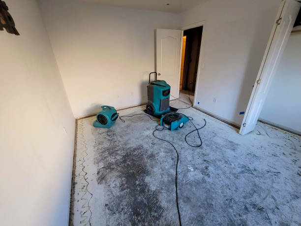 Best Fire Damage Restoration  in Butte, MT