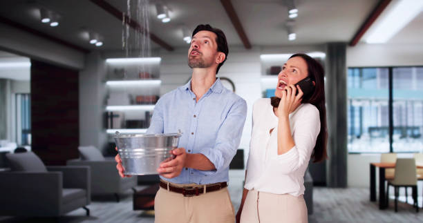 Best Residential water damage restoration  in Butte, MT