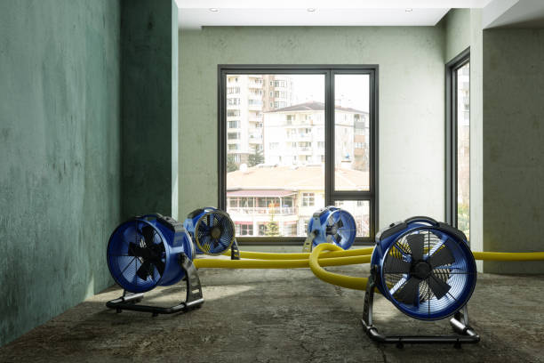 Best Sewage cleanup and water damage restoration  in Butte, MT