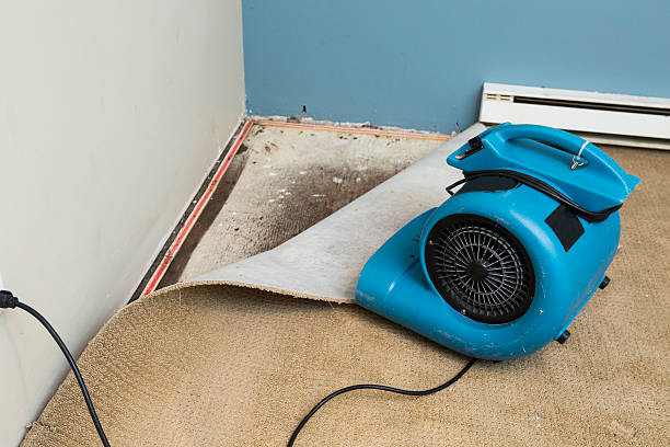 Best Water damage restoration insurance claims  in Butte, MT